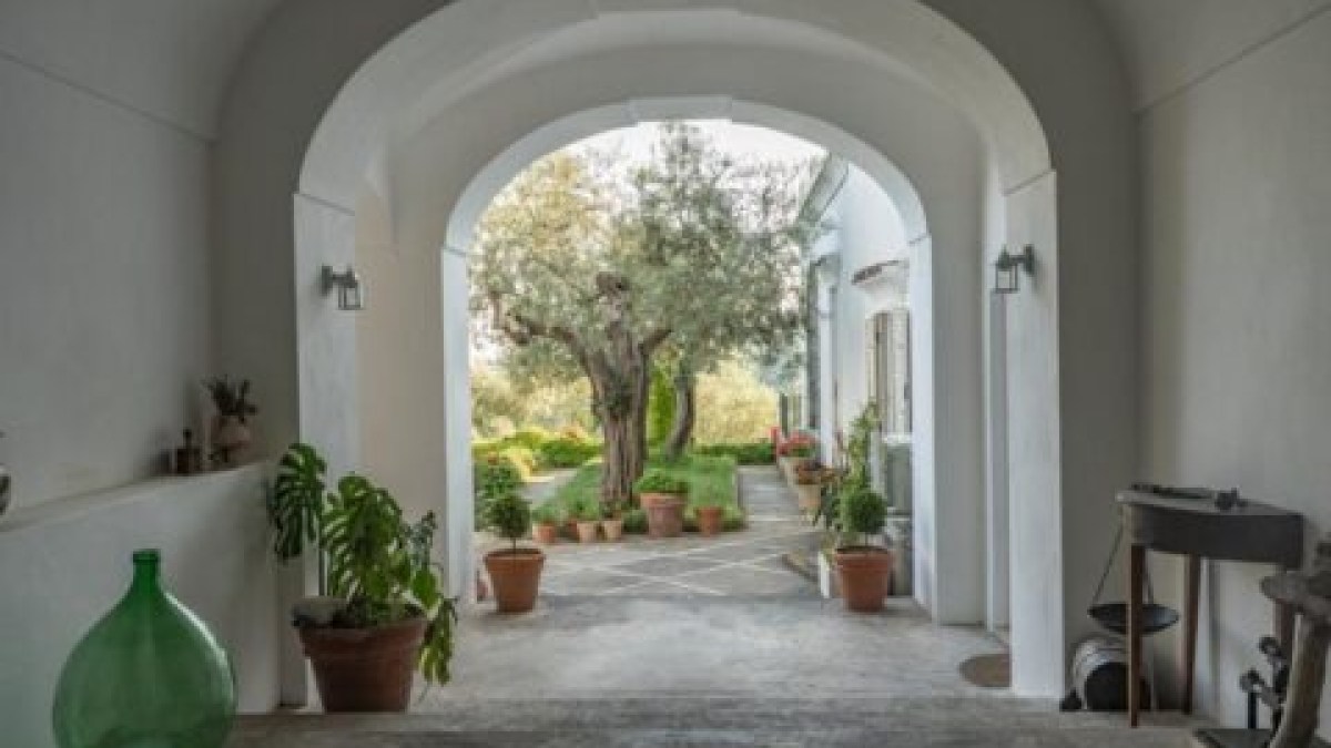 Arched walkway with potted plants leading to a courtyard and tree.