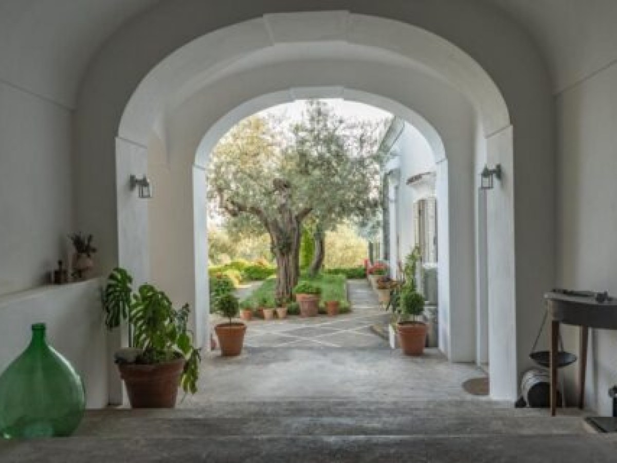 Arched walkway with potted plants leading to a courtyard and tree.