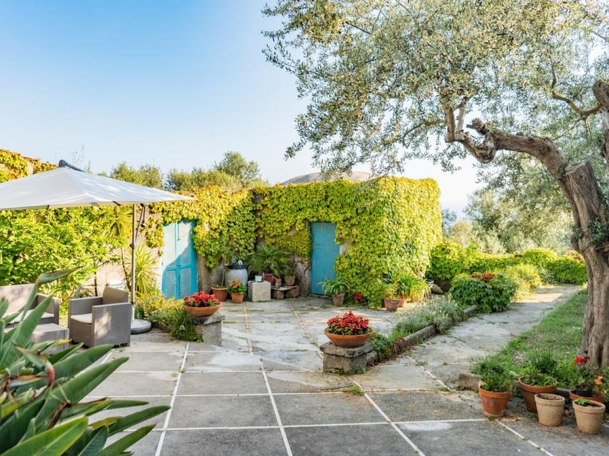 Garden patio with ivy-covered building, blue doors, potted plants, umbrella, and seating area.