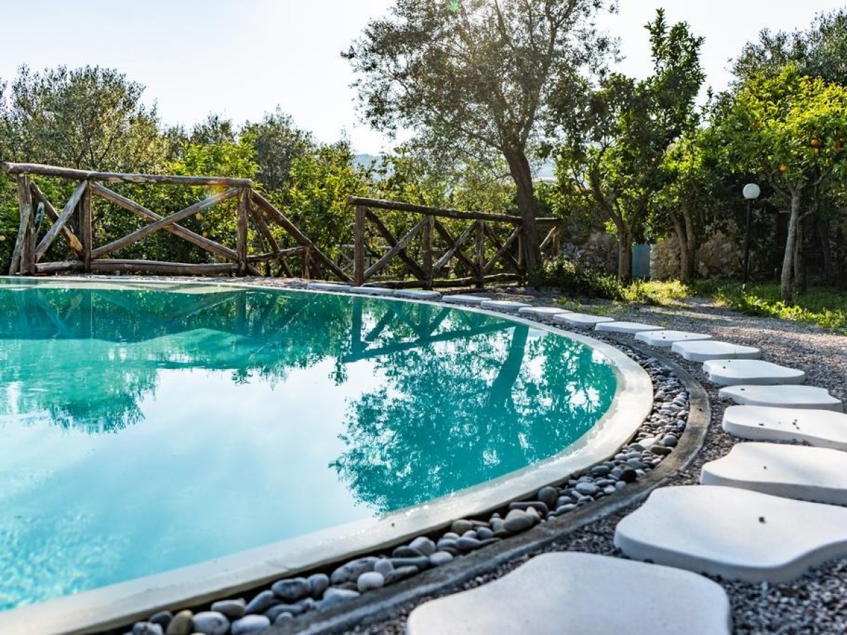Curved pool with a stone path and wooden fence in a garden setting.