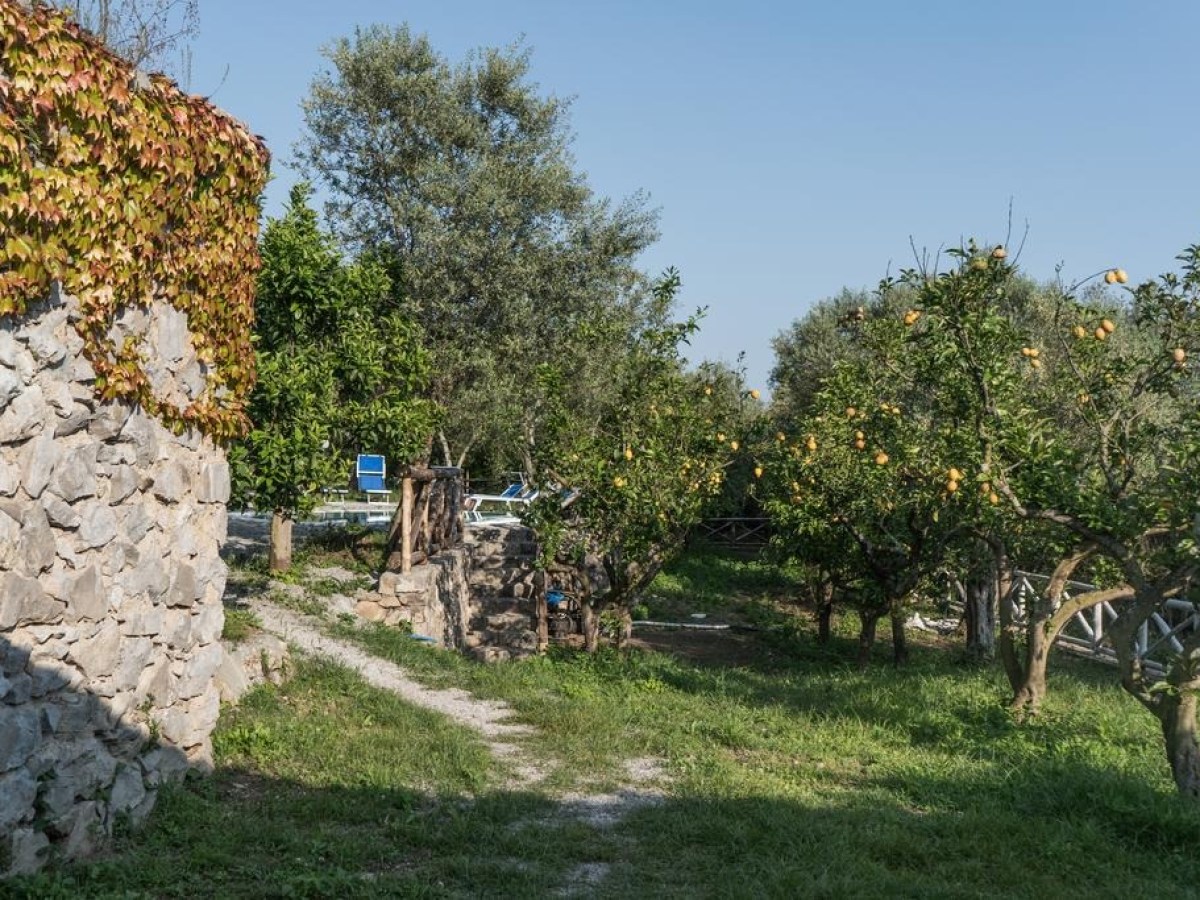 Stone wall and path next to a grove with trees and green grass.