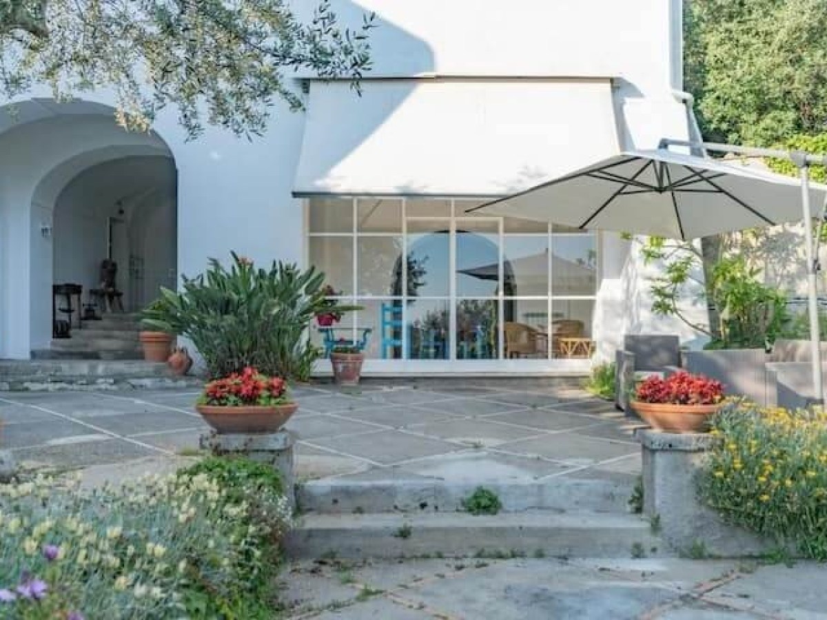 Patio with potted plants, umbrella, and arched doorway on a sunny day.