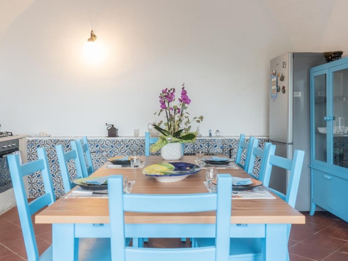 Dining table with blue chairs and potted flowers in kitchen setting.